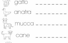 Math Worksheet Italian Grammar Vocabulary And Homework Exercises