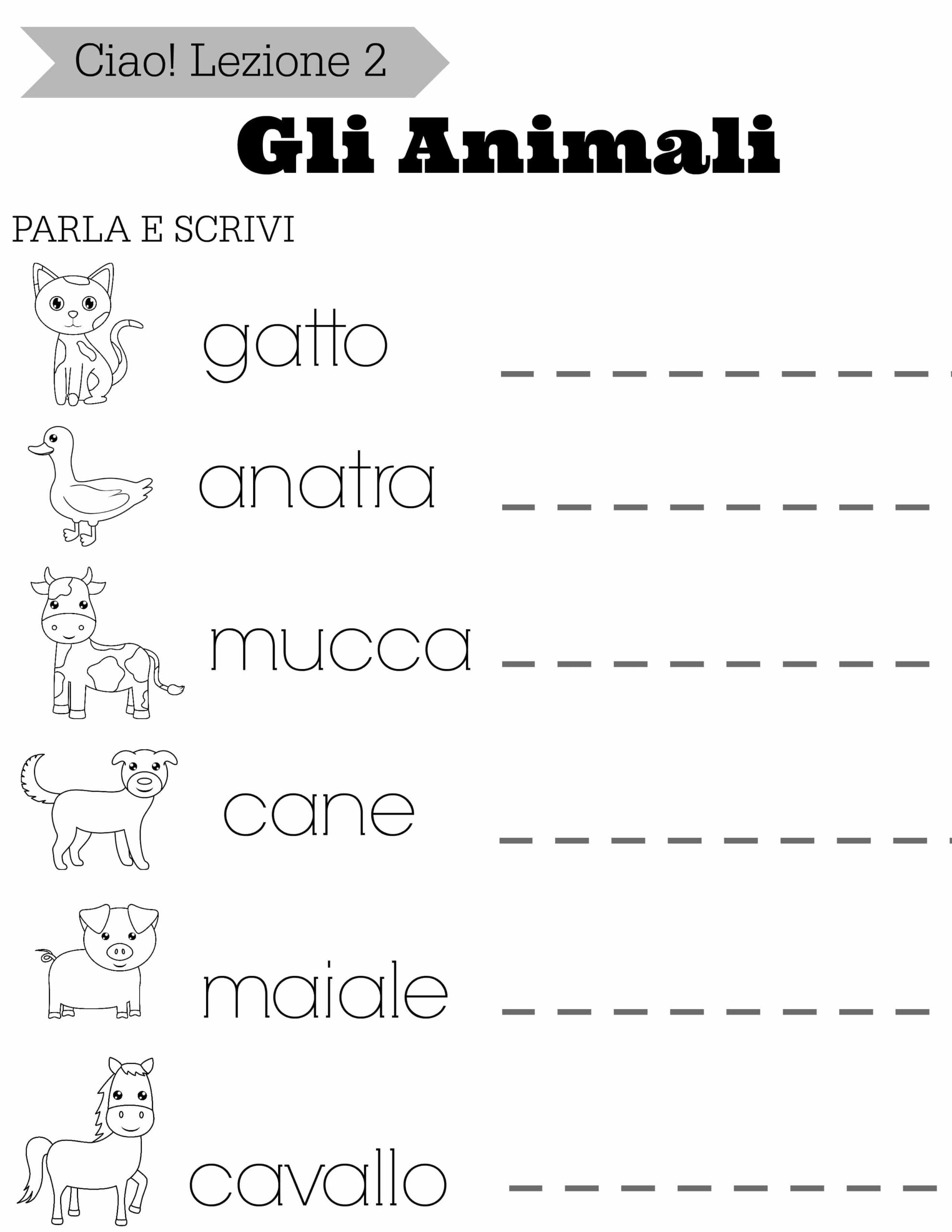 Math Worksheet Italian Grammar Vocabulary And Homework Exercises 