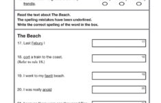 Maximising Test Results NAPLAN Style Literacy Year 5 Language