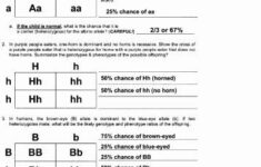 Mendelian Genetics Worksheet Answer Key Fresh Genetics Worksheet