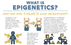Pin By Kris Carr On InfoGraphics Epigenetics Nature Vs Nurture