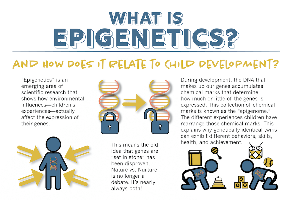 Pin By Kris Carr On InfoGraphics Epigenetics Nature Vs Nurture 