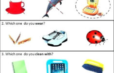 Pin On Printable Worksheet