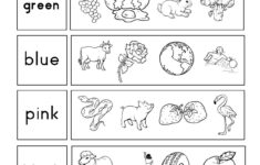 Read And Match Pre K Worksheets Preschool Activities Special
