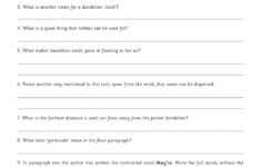 Reading Comprehension 4 Worksheet