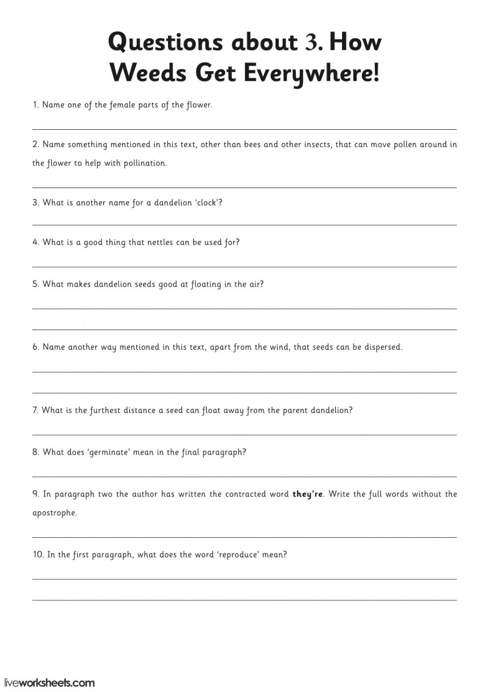 Reading Comprehension 4 Worksheet