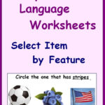 Receptive Language Worksheets Select Item By Feature Receptive