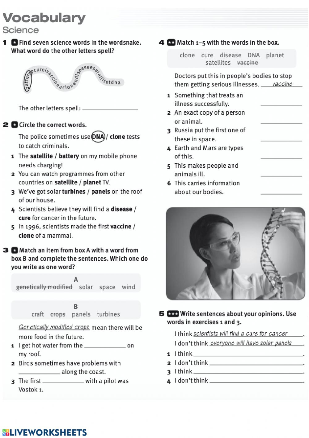 SCIENCE Vocabulary Interactive Worksheet