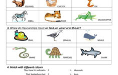 Science Worksheet Free ESL Printable Worksheets Made By Teachers