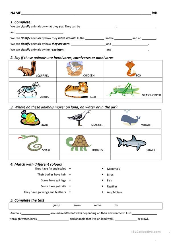 Science Worksheet Free ESL Printable Worksheets Made By Teachers