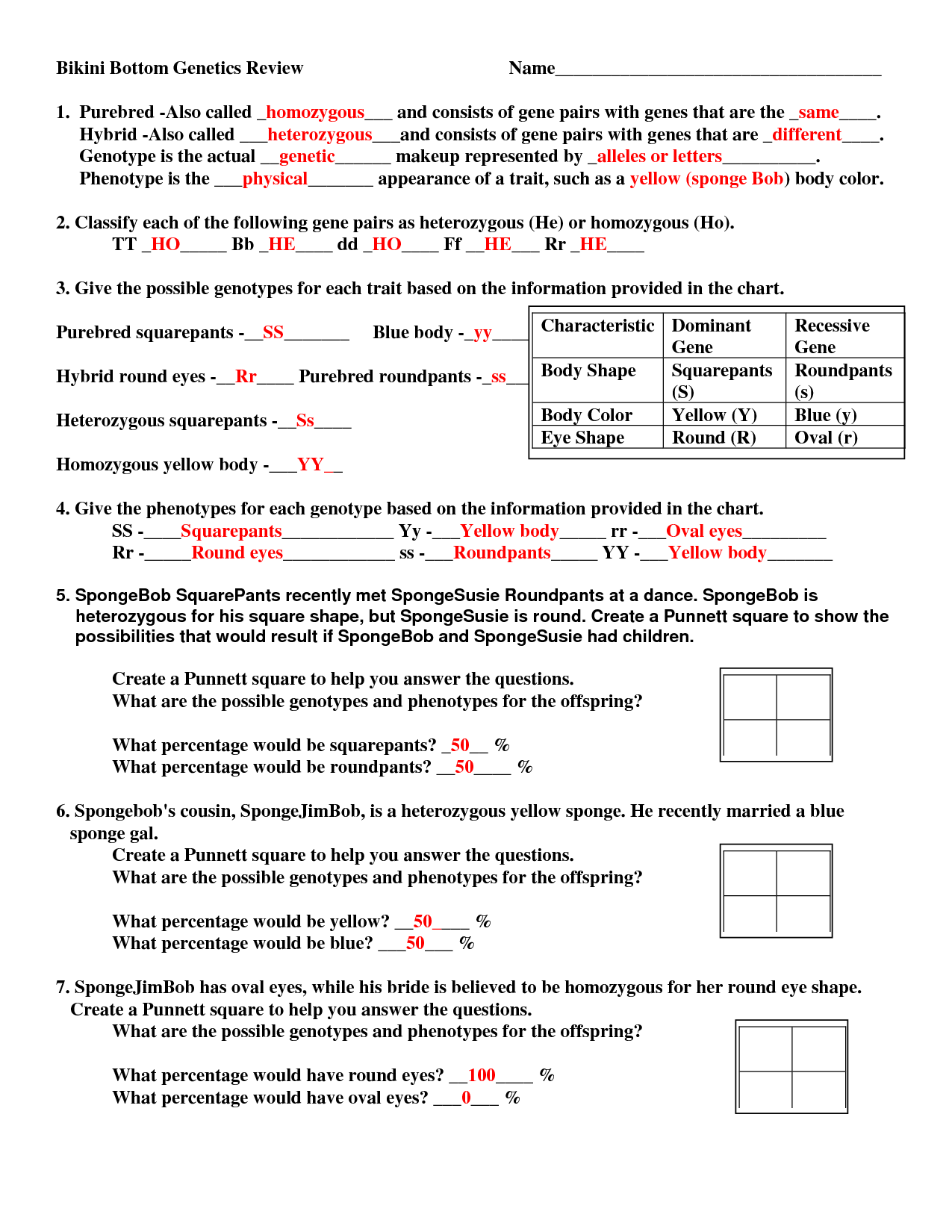 Spongebob Genetics Answer Key Bikini Bottom Genetics Worksheet Answer 