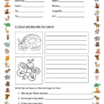 Test For 4th Grade Worksheet Free ESL Printable Worksheets Made By