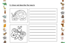 Test For 4th Grade Worksheet Free ESL Printable Worksheets Made By