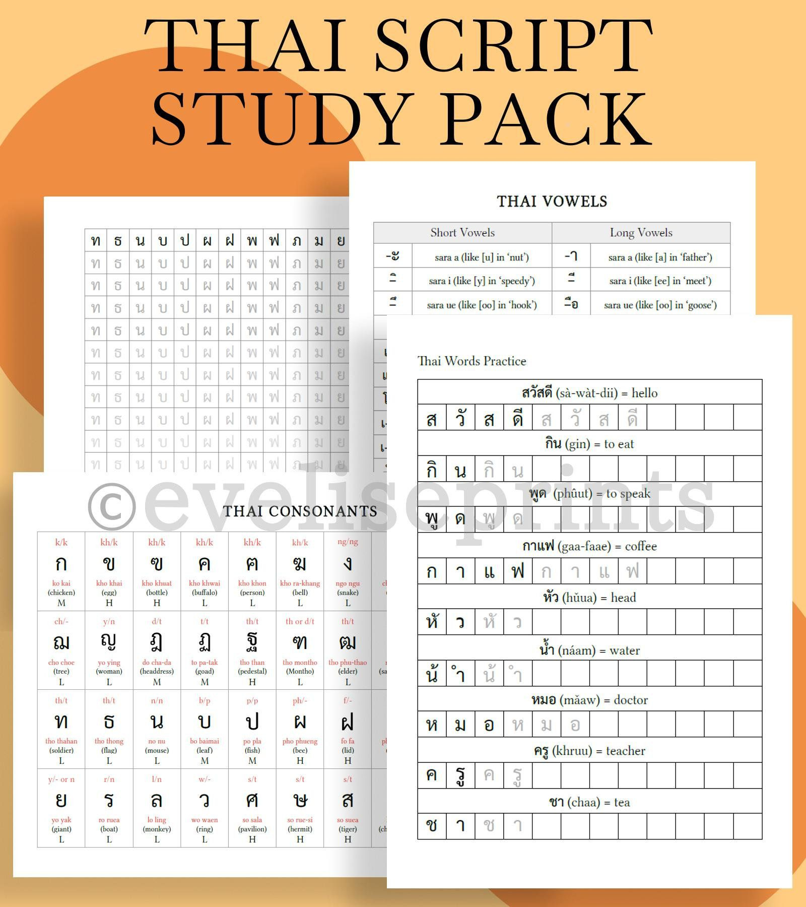 Thai Thai Script Alphabet Study Pack Charts Worksheets 