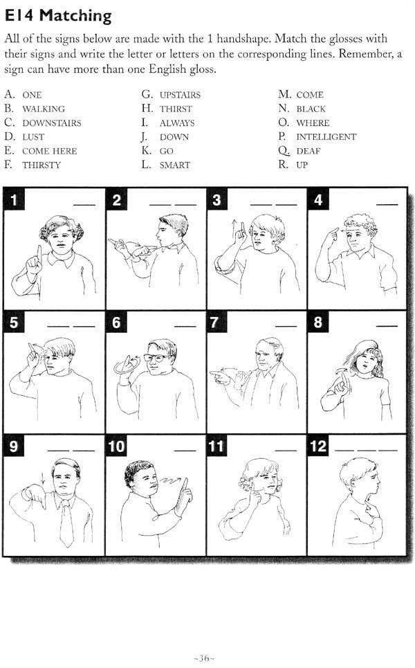 The American Sign Language Handshape Puzzle Book By Linda Lascelle 