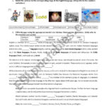 The History Of The English Language ESL Worksheet By Luisaoliveira