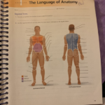 The Language Of Anatomy Review Sheet Exercise 1 Answer Key Exercise