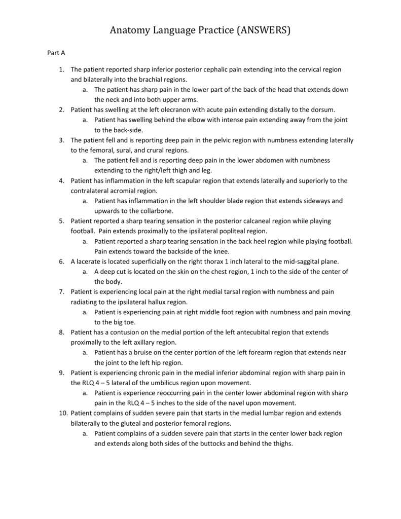 The Language Of Anatomy Worksheet Answers Anatomy Drawing Diagram