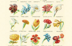 The Language Of Flowers Antique Victorian Flower Diagram 4 Sizes