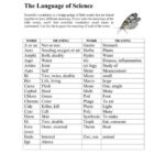The Language Of Science Worksheet Answers Worksheet