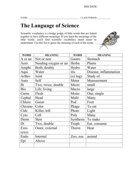 Language Of Science Worksheet Answer Key