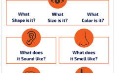 Things That Go Zoom Therapy Activities For Receptive Expressive Language