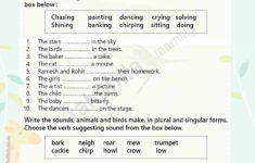Verbs Worksheet For Class 2 English Grammar Verb Worksheet