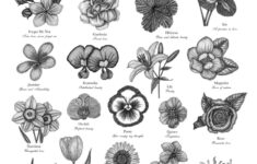 Victorian Language Of Flowers Print A To Z Of Flowers Etsy In 2020