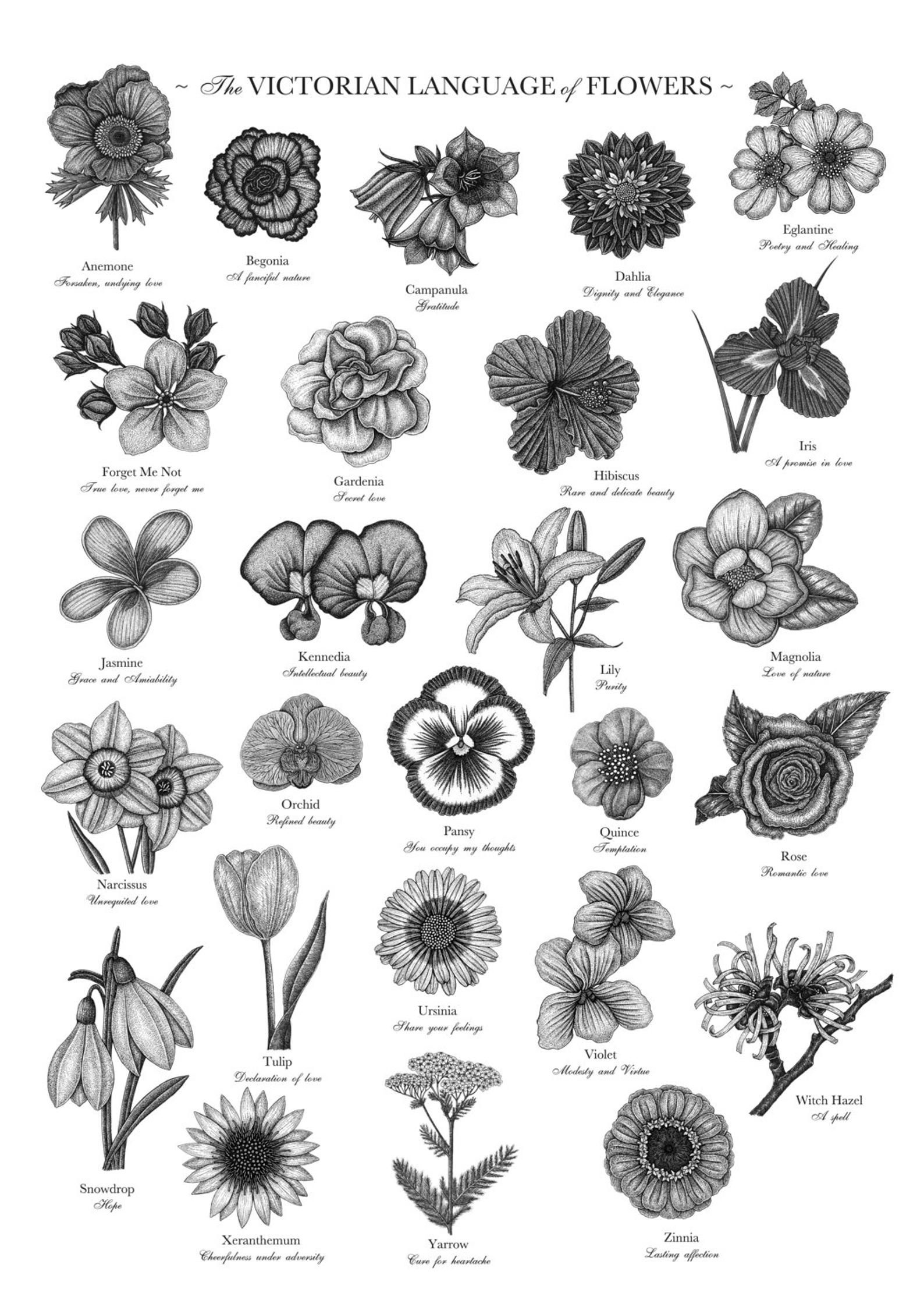 Victorian Language Of Flowers Print A To Z Of Flowers Etsy In 2020 