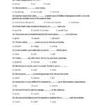 Vocab And Grammar Quiz Worksheet