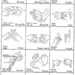 Worksheet Sign Language Worksheets Grass Fedjp Worksheet Study Site